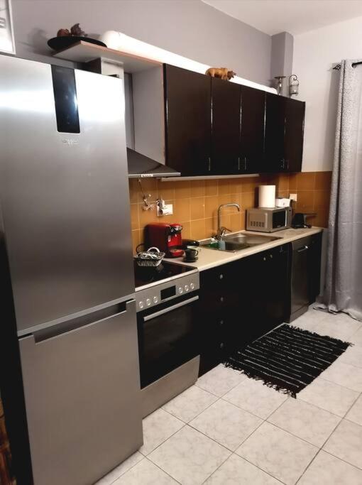 Kuchyň nebo kuchyňský kout v ubytování Vion Place Pilos