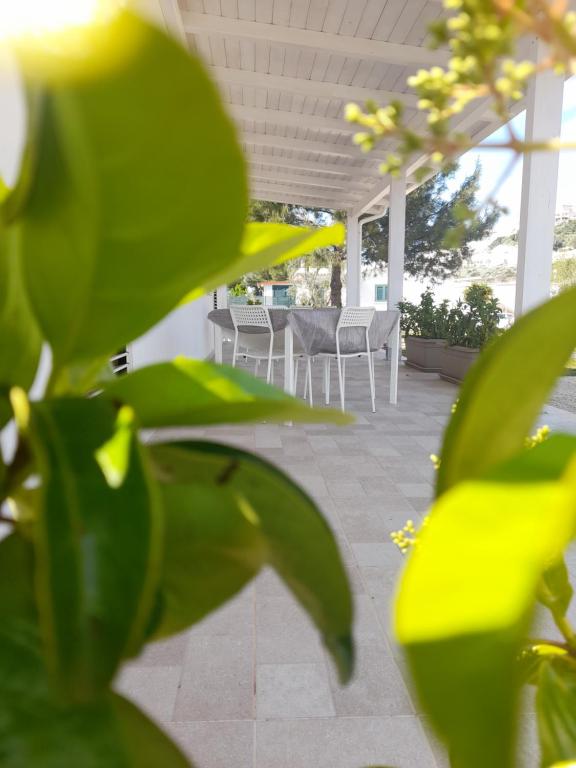 un patio con sedie bianche, tavolo e piante di La Casa al Mare a Peschici