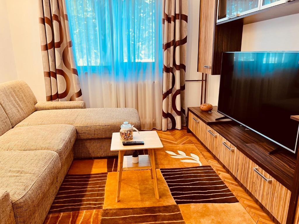 een woonkamer met een bank en een flatscreen-tv bij Adona Residence in Oradea