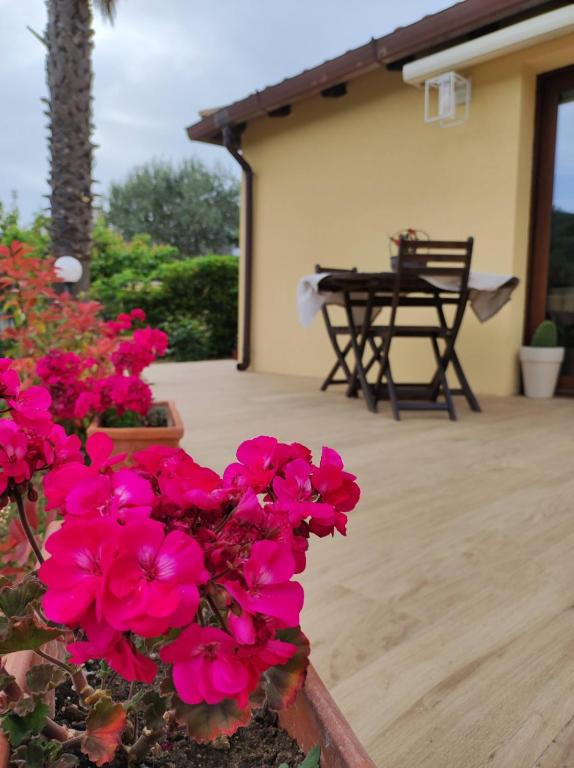 Vonkajšia záhrada v ubytovaní Casa Vacanze La Cuntintizza