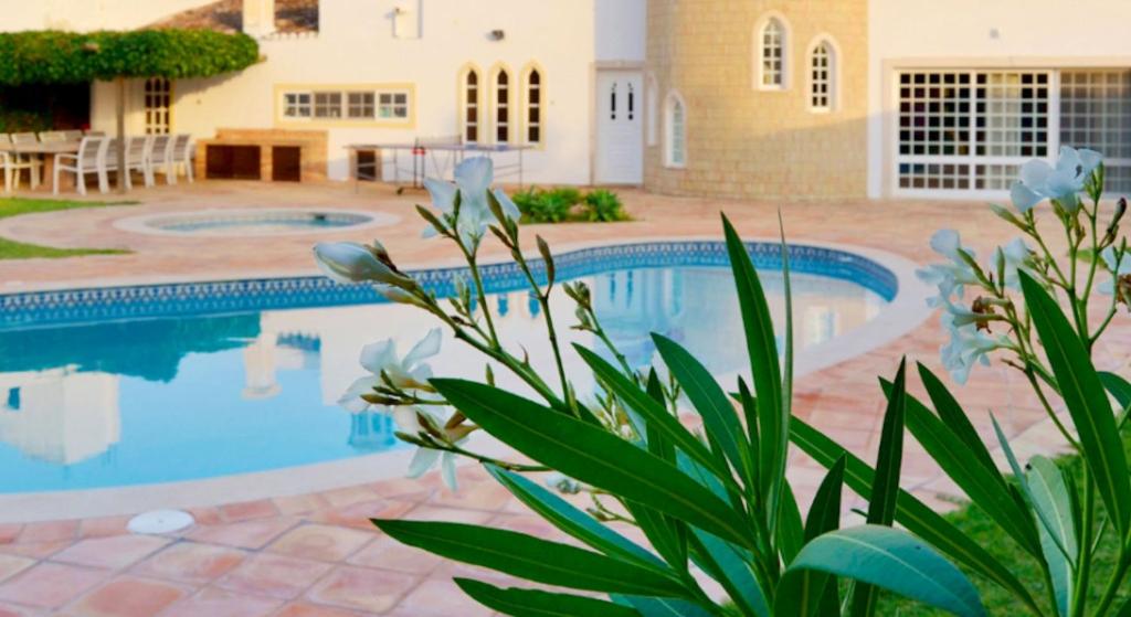 Basen w obiekcie Beautiful Algarve Villa 6 Bedrooms Villa Albuferia da Silva Private Swimming Pool Lovely Outdoor Kitchen Albufeira lub w pobliżu