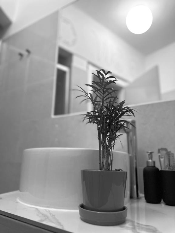 Koupelna v ubytování Boutique Hotel Novecento