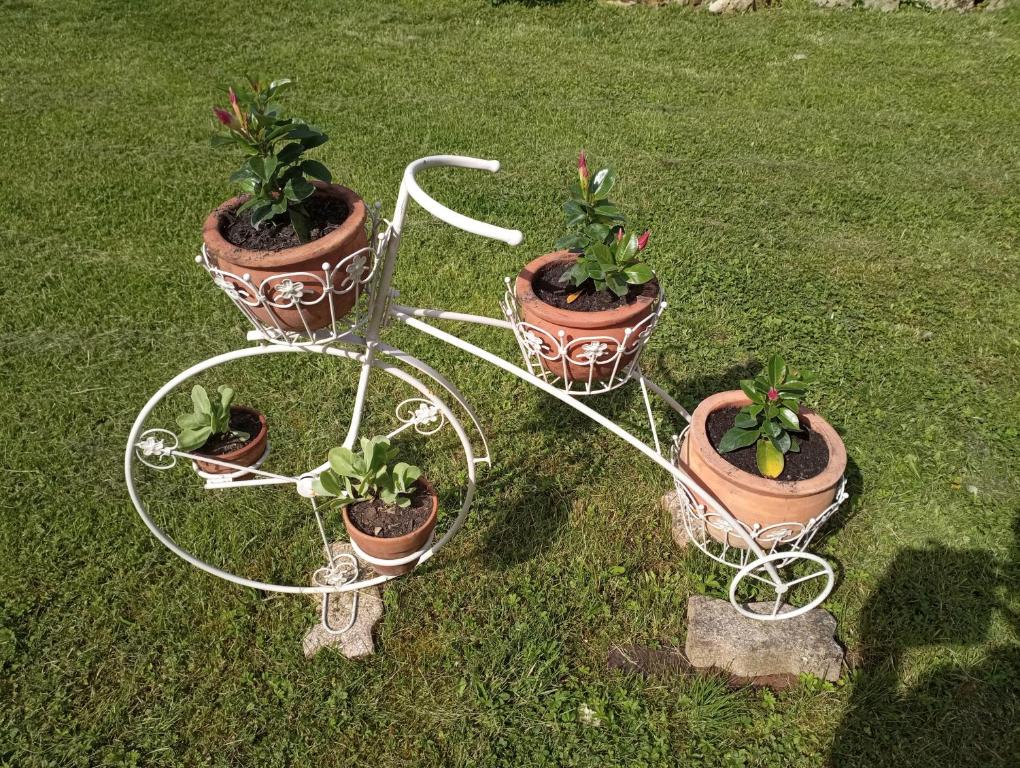 Zahrada ubytování Gîte l'Olivianne