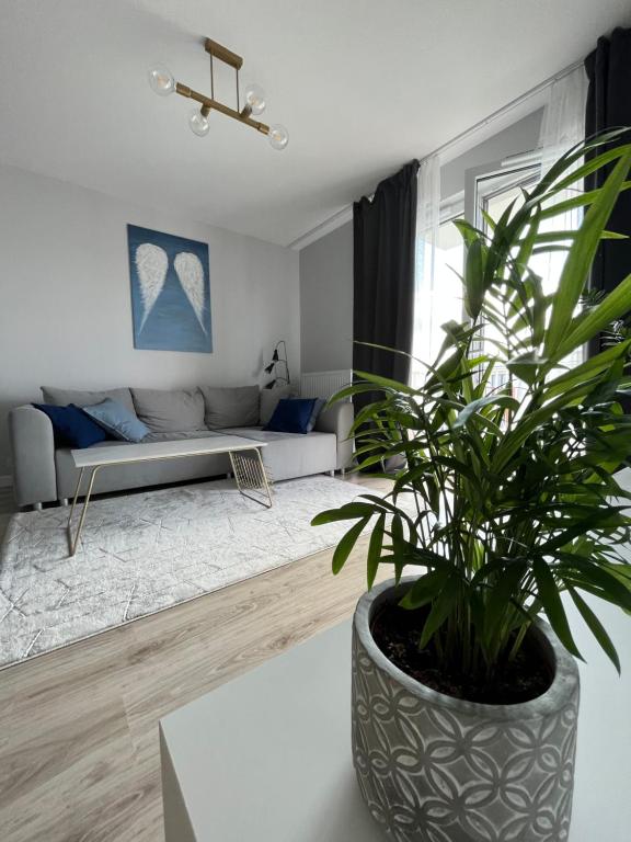 Życzliwa Apartment - Housity
