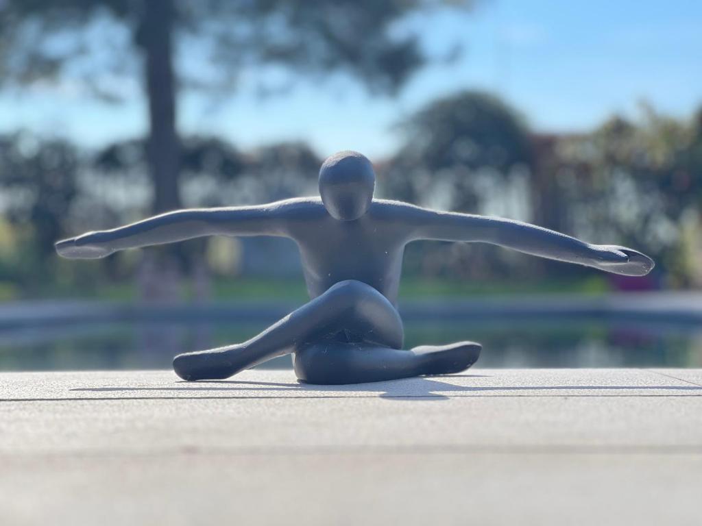 Ikigai في آويد ترنهاوت: تمثال بلاستيكي لرجل يجلس على الأرض
