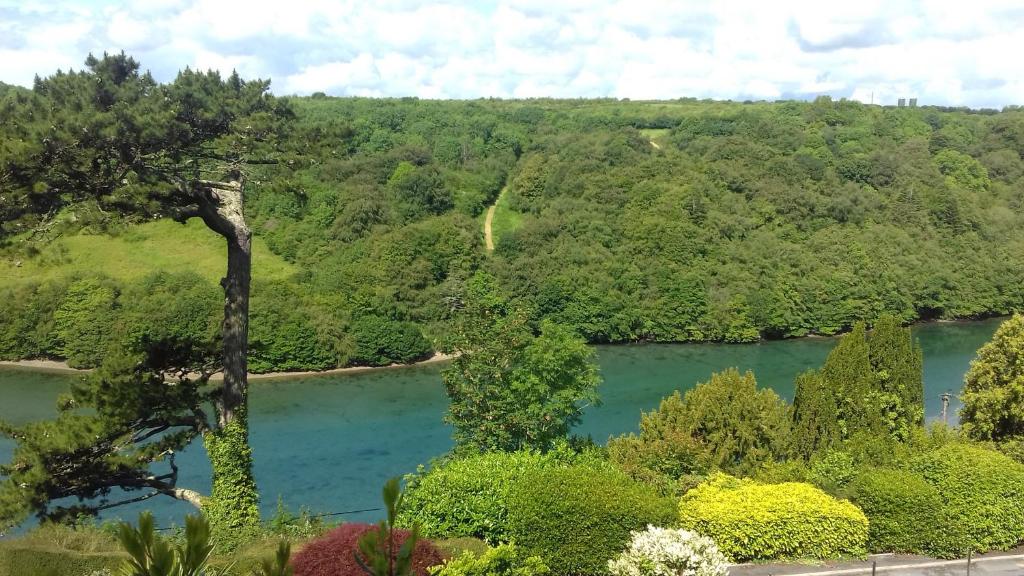 uma vista para um rio com árvores e água azul em Looe, Cornwall, Langunnett Cottage em Looe