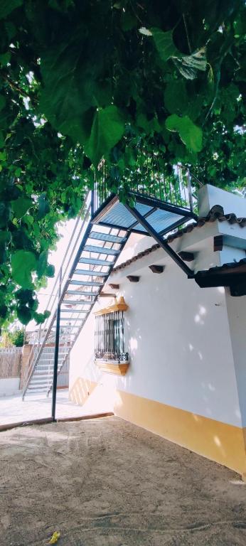 casa de vicky - Suite Avec Terrasse