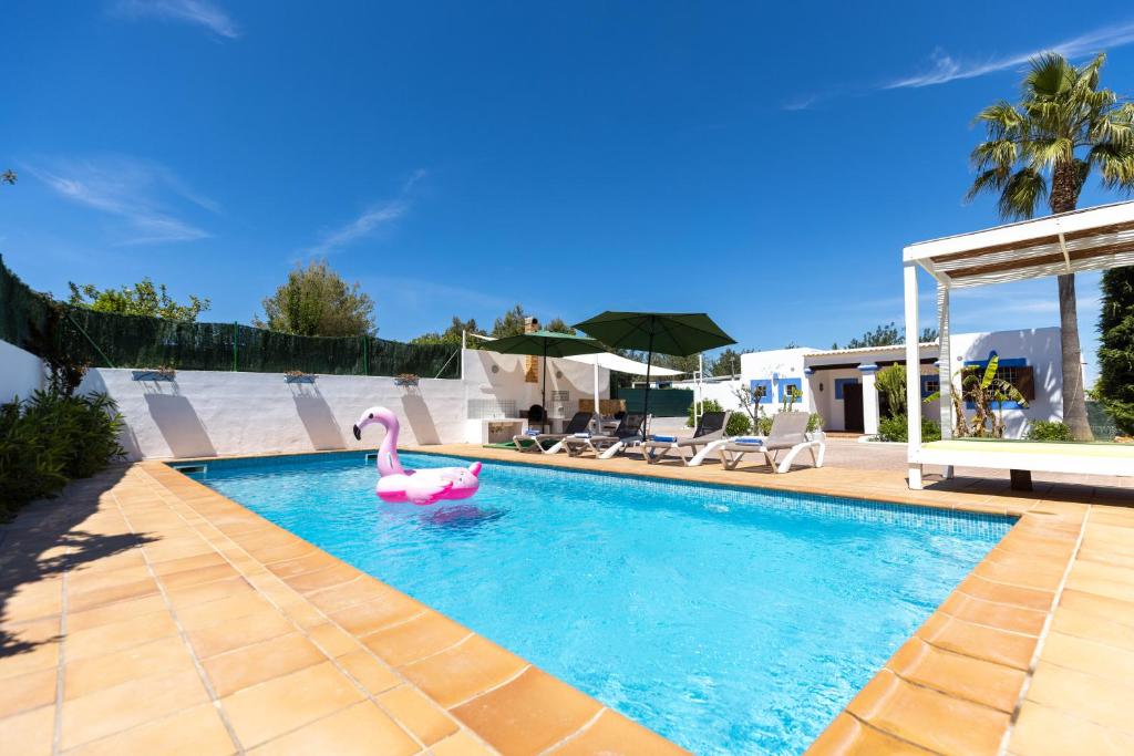 uma piscina com um cisne cor-de-rosa na água em Villa Miguel em Sant Rafael de Sa Creu