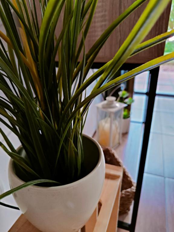 Fotografie z fotogalerie ubytování Apartamento Berlin! Paseo Marítimo 2ª linea de mar. v destinaci Salou