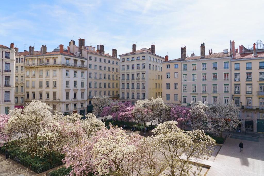 a group of buildings in a city with trees at Hotel du Théatre in Lyon