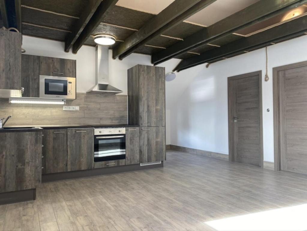 Kuchyň nebo kuchyňský kout v ubytování Apartmány u Dlouhána