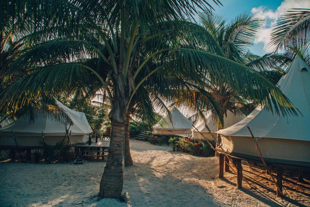 Fotografie z fotogalerie ubytování Glamp Ikal Tulum v destinaci Tulum