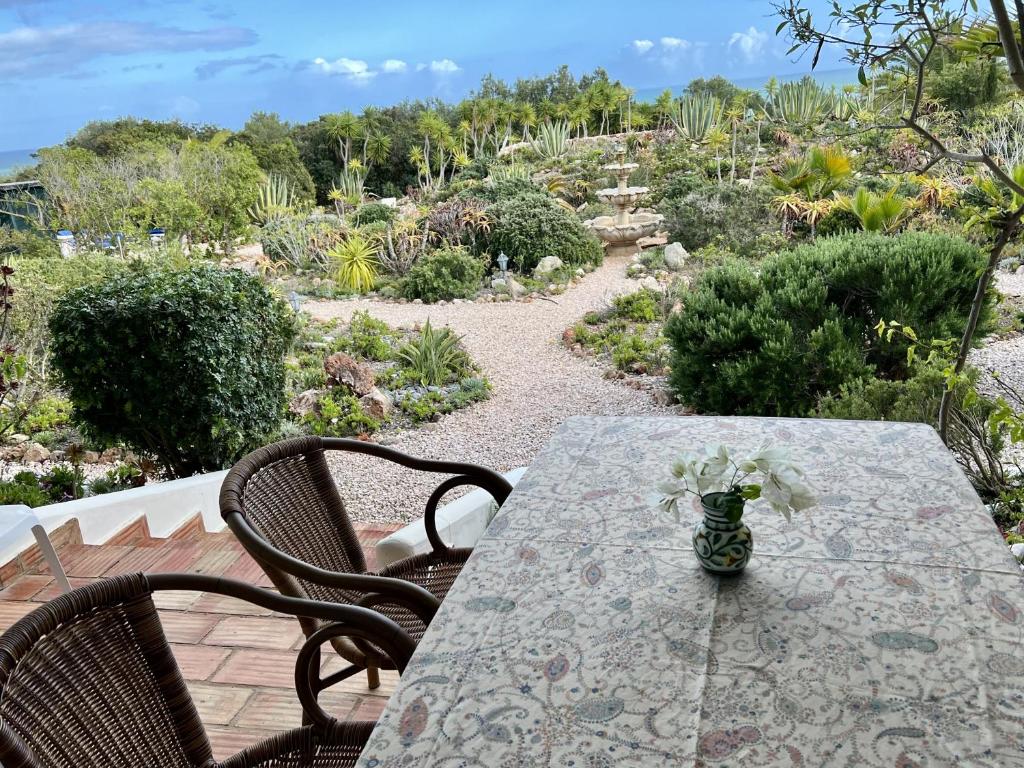 a table and chairs with a vase of flowers on it at 233 Casa Galo Verde Apartments in Porches