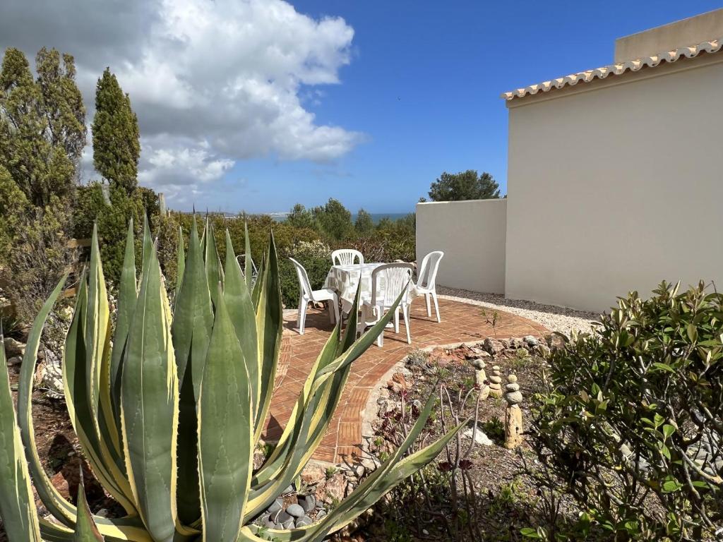 a garden with a table and chairs and a cactus at 233 Casa Galo Verde Apartments in Porches