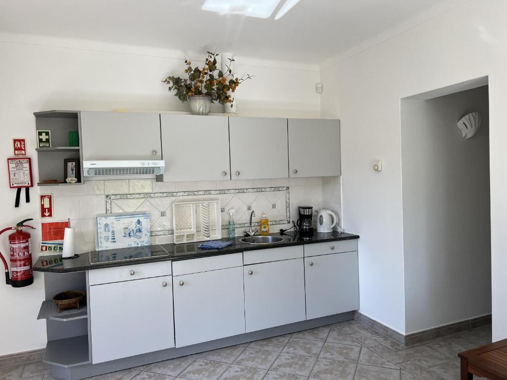 a kitchen with white cabinets and a sink at 233 Casa Galo Verde Apartments in Porches