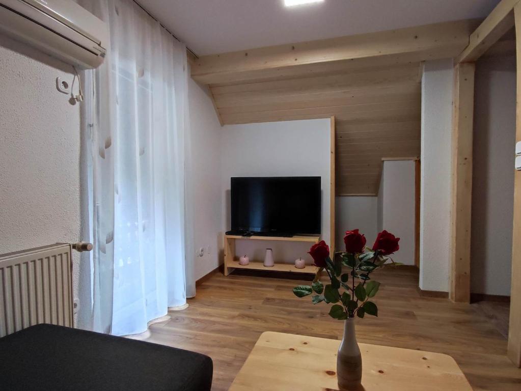 TV a/nebo společenská místnost v ubytování Apartmaji Mojca