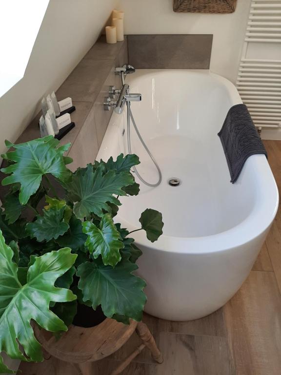 Koupelna v ubytování B&B Eikenlaan 12