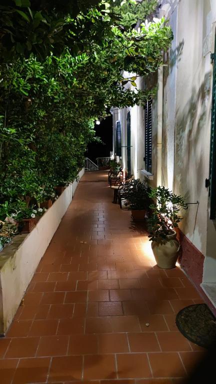 Zahrada ubytování Hotel Golfo Azzurro