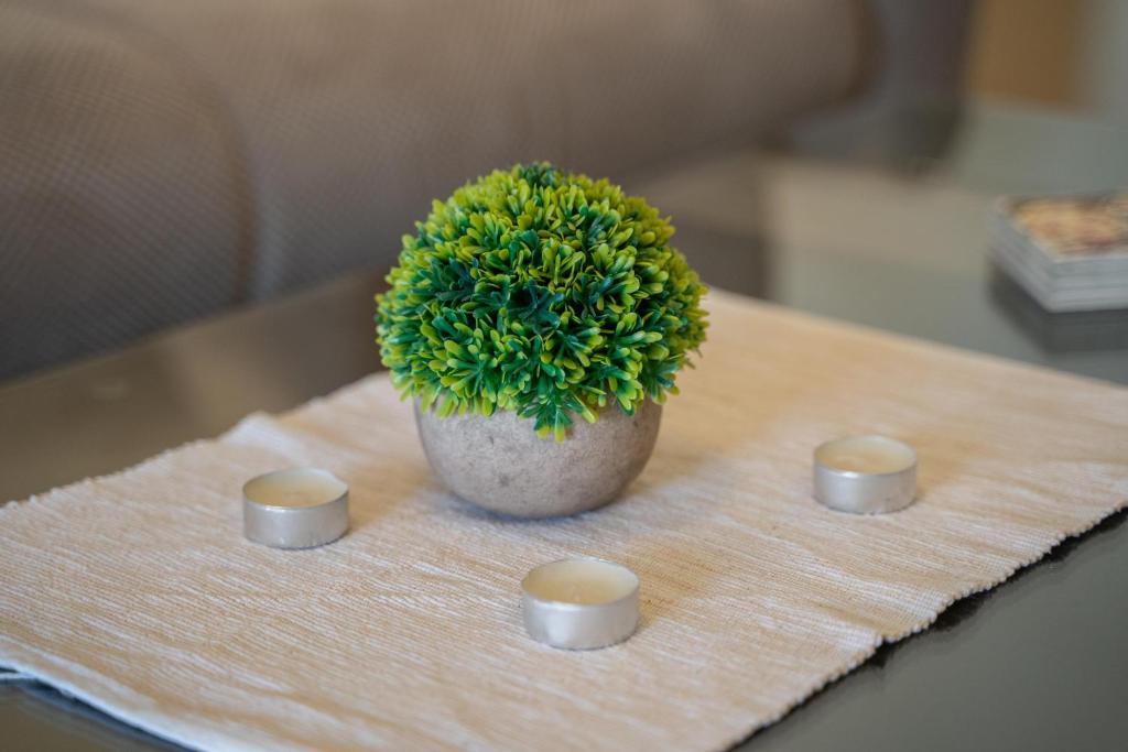 Apartments Milunović - 7