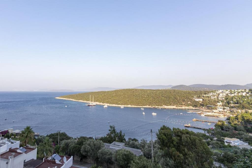 Amazing Triplex with Fantastic Sea View in Turkbuku