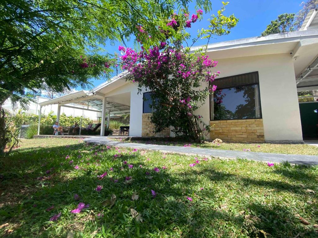 a house with pink flowers in the yard at Casa Johanna, Charm and Tranquillity ! in Atenas