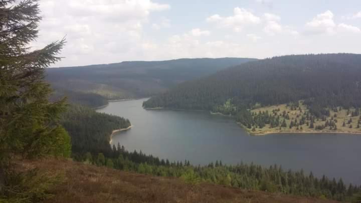 a view of a lake in the middle of a valley at Cabana nea Nicu in Bălceşti