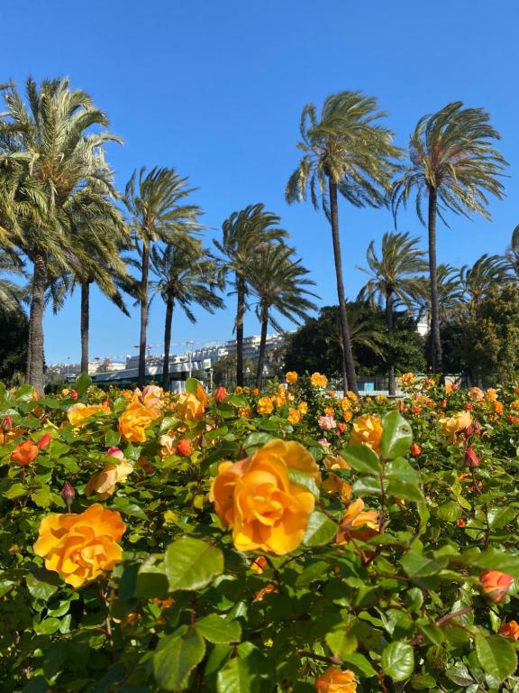 a field of flowers with palm trees in the background at Paula by Terry&#39;s Homes in Cannes