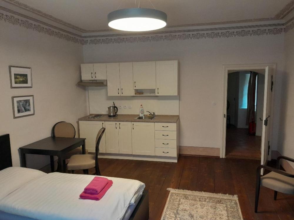 Kuchyňa alebo kuchynka v ubytovaní Klášterní apartmány