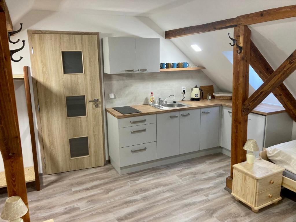 Kuchyň nebo kuchyňský kout v ubytování Apartmán Pod Zámkem