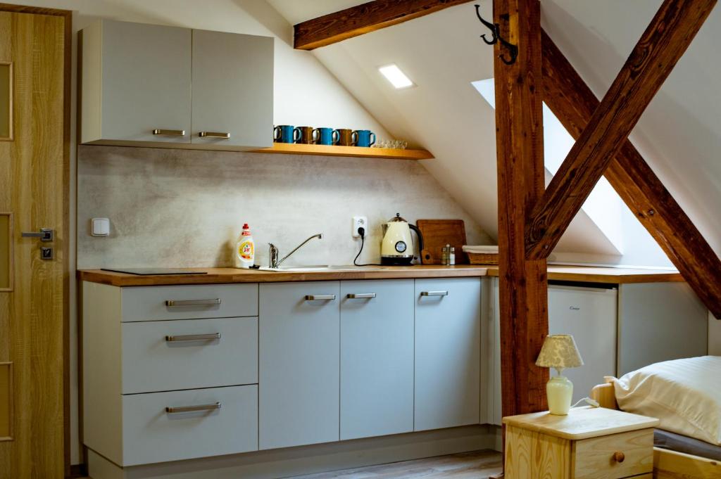 Kuchyň nebo kuchyňský kout v ubytování Apartmán Pod Zámkem