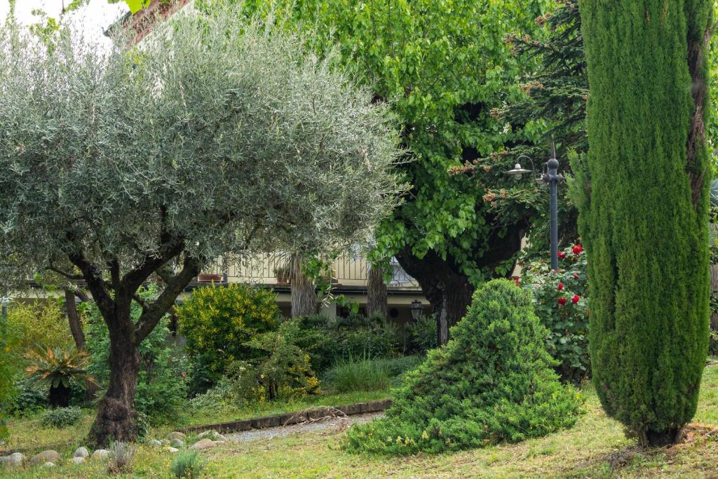 A garden outside Alba Morus