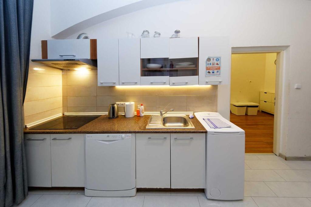 Kuchyň nebo kuchyňský kout v ubytování Apartment Americká 8