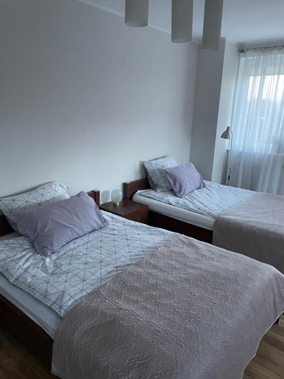 Postel nebo postele na pokoji v ubytování Apartament Aga
