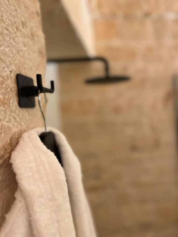 BORGANTHIA - IL CHIOSTRO DEI MEDICI - 2