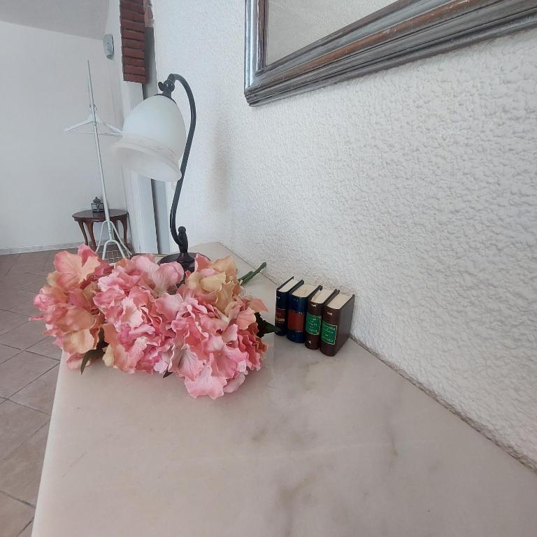 Fotografie z fotogalerie ubytování Podere Grandolfi B&B v destinaci Capoliveri