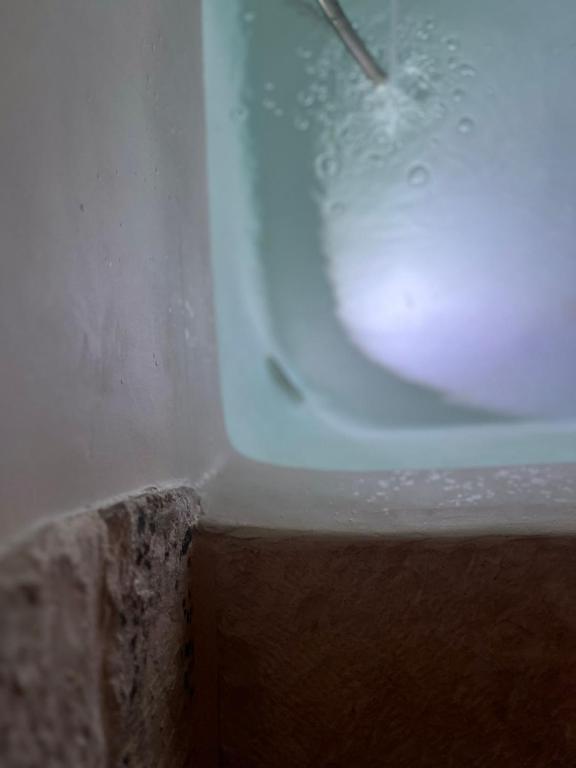 BORGANTHIA - IL CHIOSTRO DEI MEDICI - 11