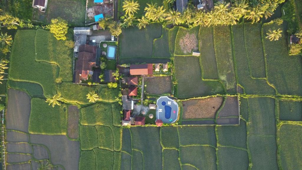 Pondok Indah Bungalows Tetebatu - 12