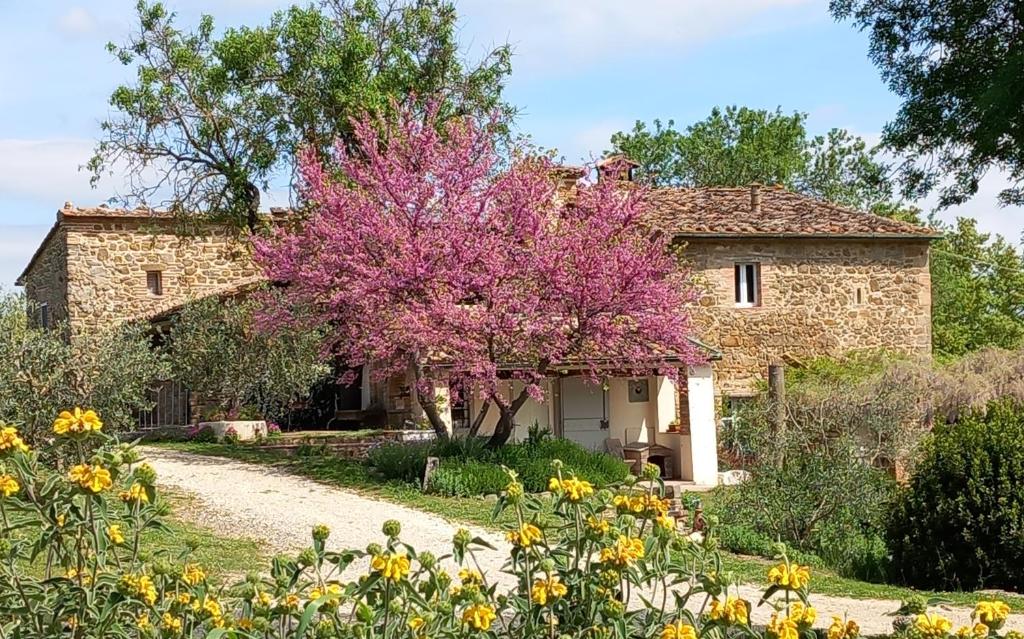 uma casa de pedra com uma árvore cor-de-rosa à frente. em Agriturismo Timignano em Monteguidi