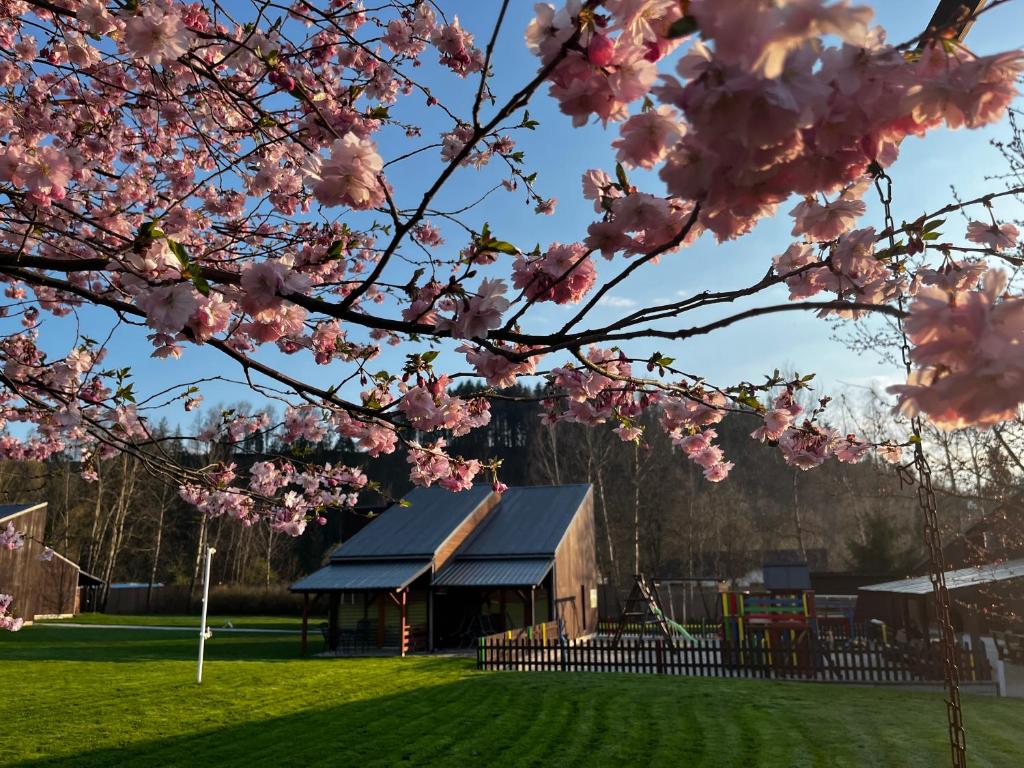 een boom met roze bloemen voor een gebouw bij Apartmany Resort in Horní Bečva