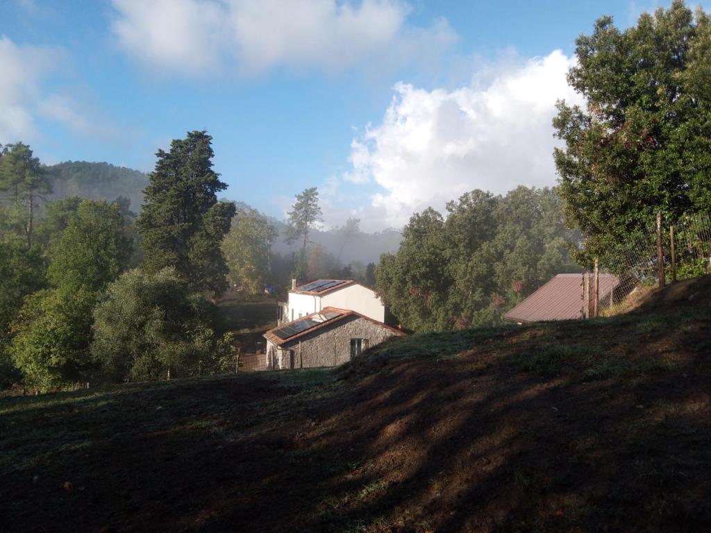 grupa domów na wzgórzu z drzewami w obiekcie Agriturismo La Fogona w mieście Carrodano Superiore