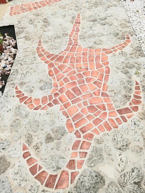 Fotografie z fotogalerie ubytování そよ旅 Soyotabi v destinaci Ostrov Išigaki