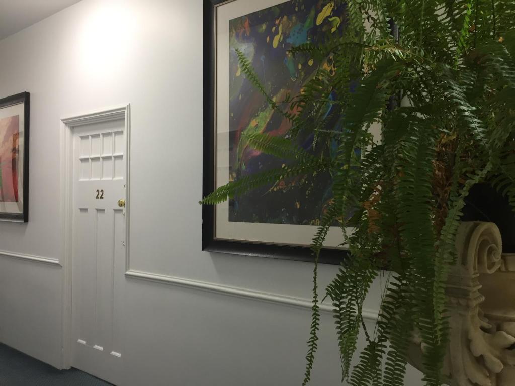 Art Hotel on York - Resim 32