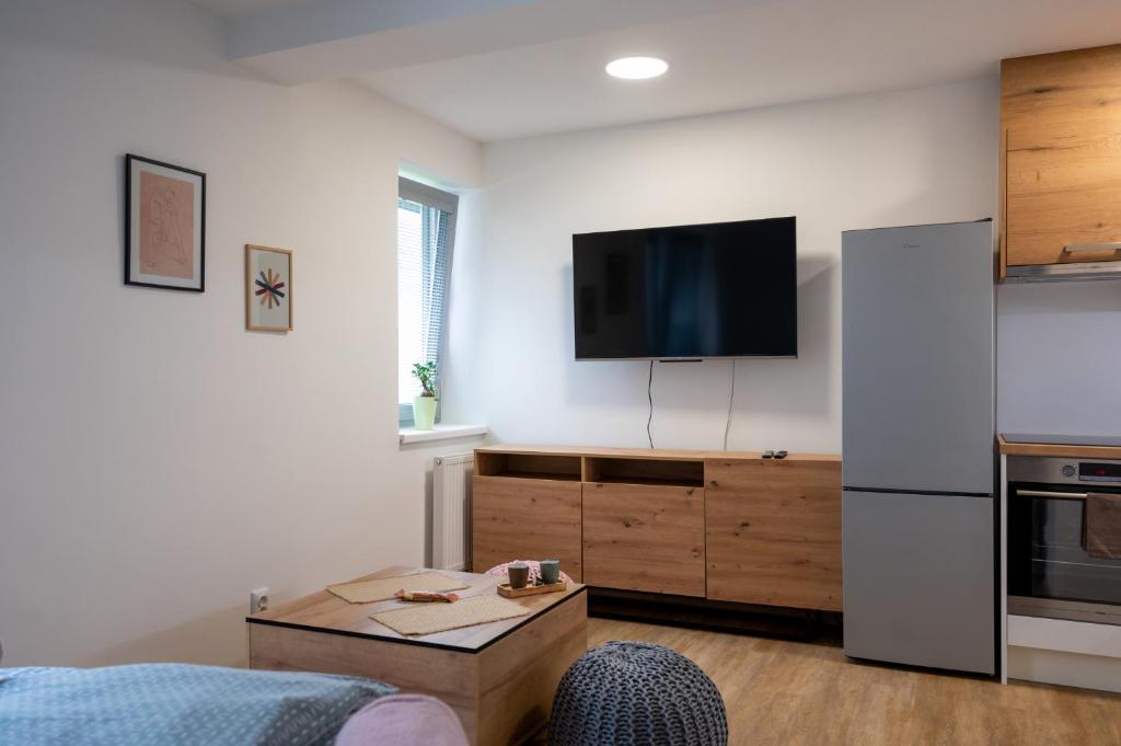Kuchyň nebo kuchyňský kout v ubytování Samoobslužné Apartmány Evičenstvo