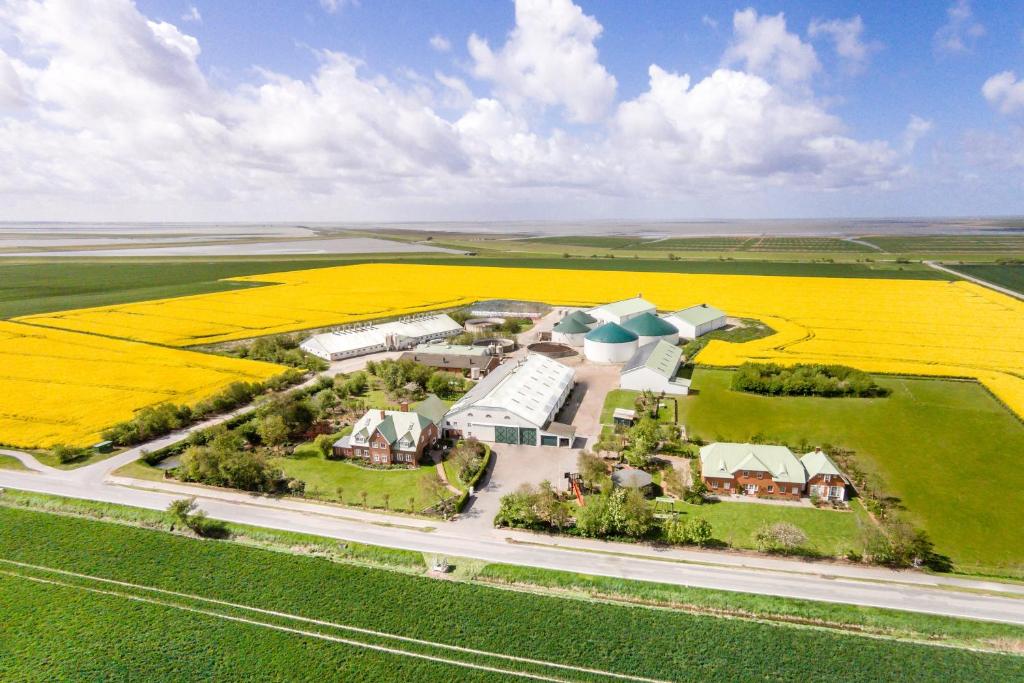 an aerial view of a farm with a field of yellow flowers at Bauernhof Wulff - Fewo "Amrum" in Reußenköge