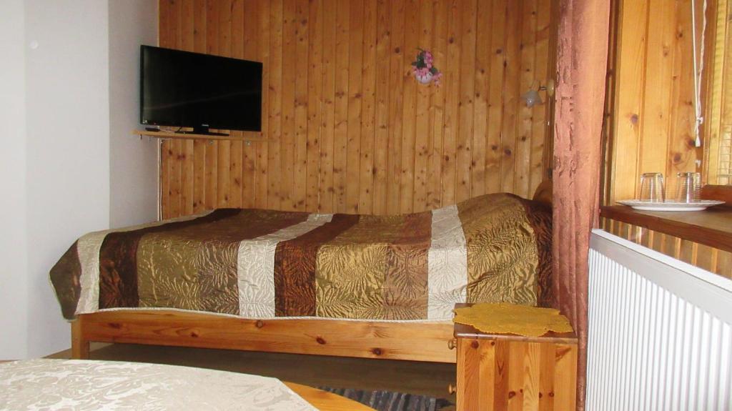 una camera con letto e TV a schermo piatto di Nepi Hotell a Tallinn