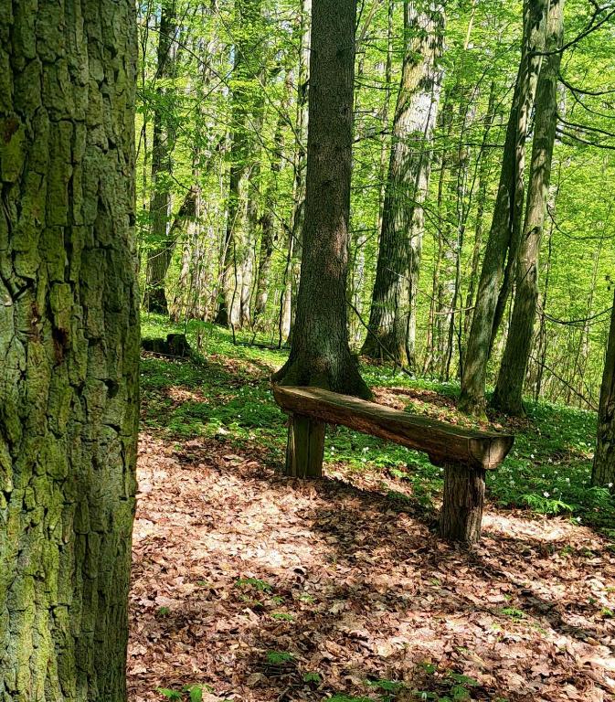 Príroda v okolí dovolenkového domu