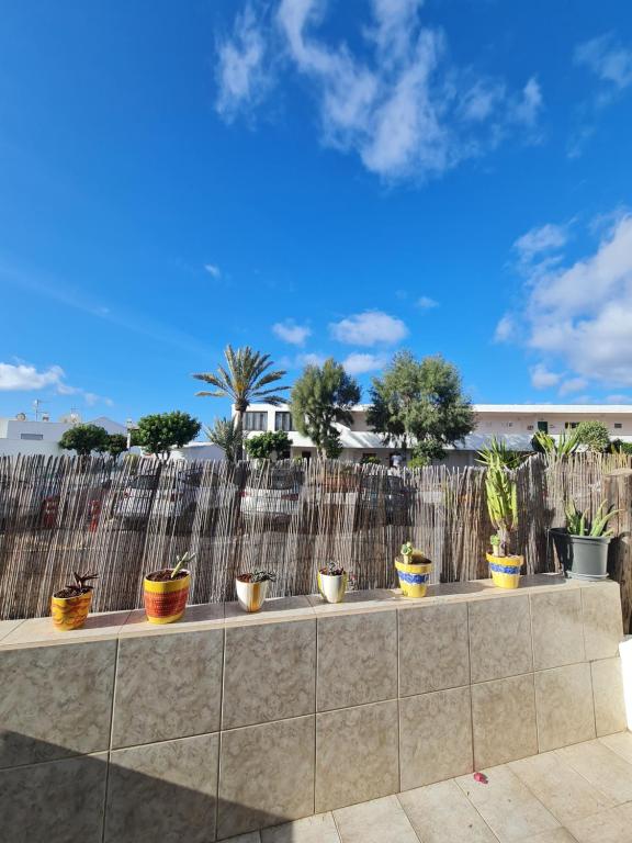 a row of potted plants sitting on a wall at Casa Eowyn in Puerto del Carmen
