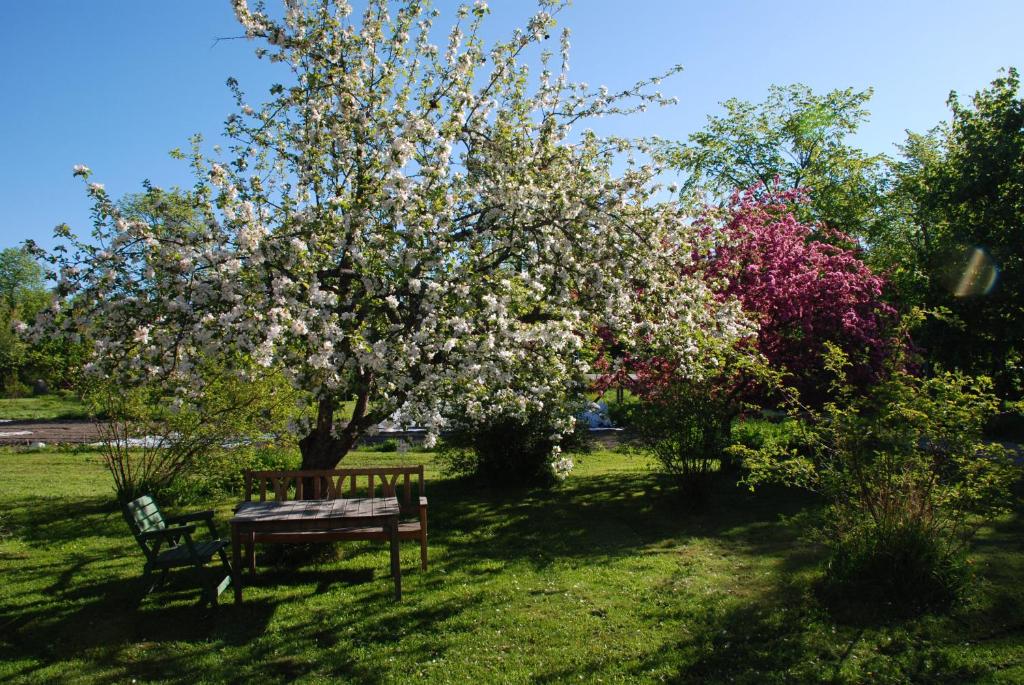 Zahrada ubytování Fridhem Coursecenter & Guesthouse