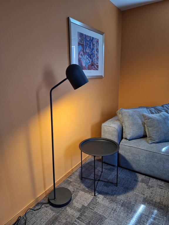 a living room with a lamp and a couch at Apartma Mia, Aparthotel Rosa in Podčetrtek