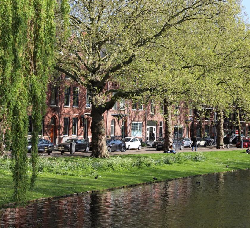 Mr.Lewis Rotterdam - Resim 11